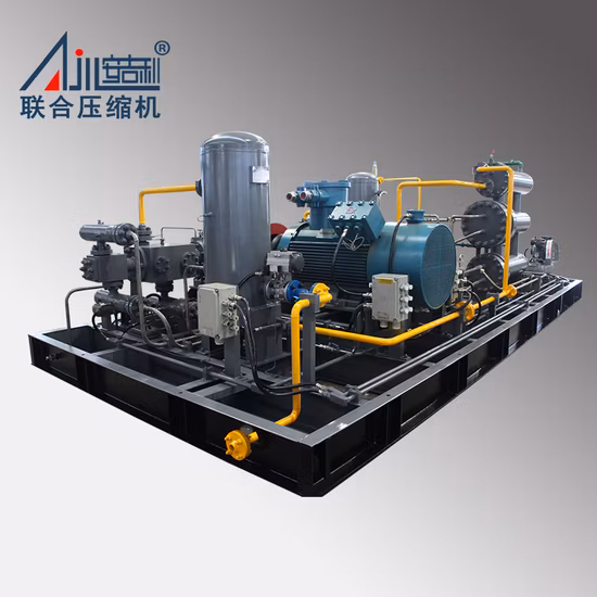 Two Stage Piston Gas Compressor for CNG Mother Station