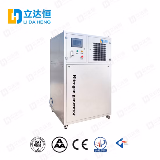 Ldh Small Food Industry Preservation Quick